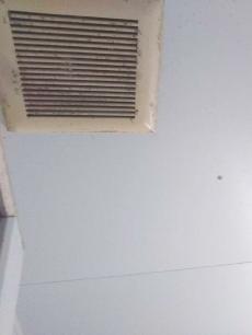 20190211-Hsama-mae-M02.JPG