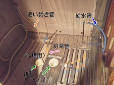 20191025-MsamaM-chu15.JPG