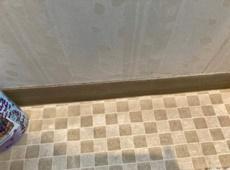 渡邉邸 施工前 床.jpg