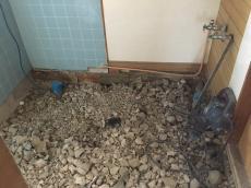 20181016-Hsama-chu03.JPG